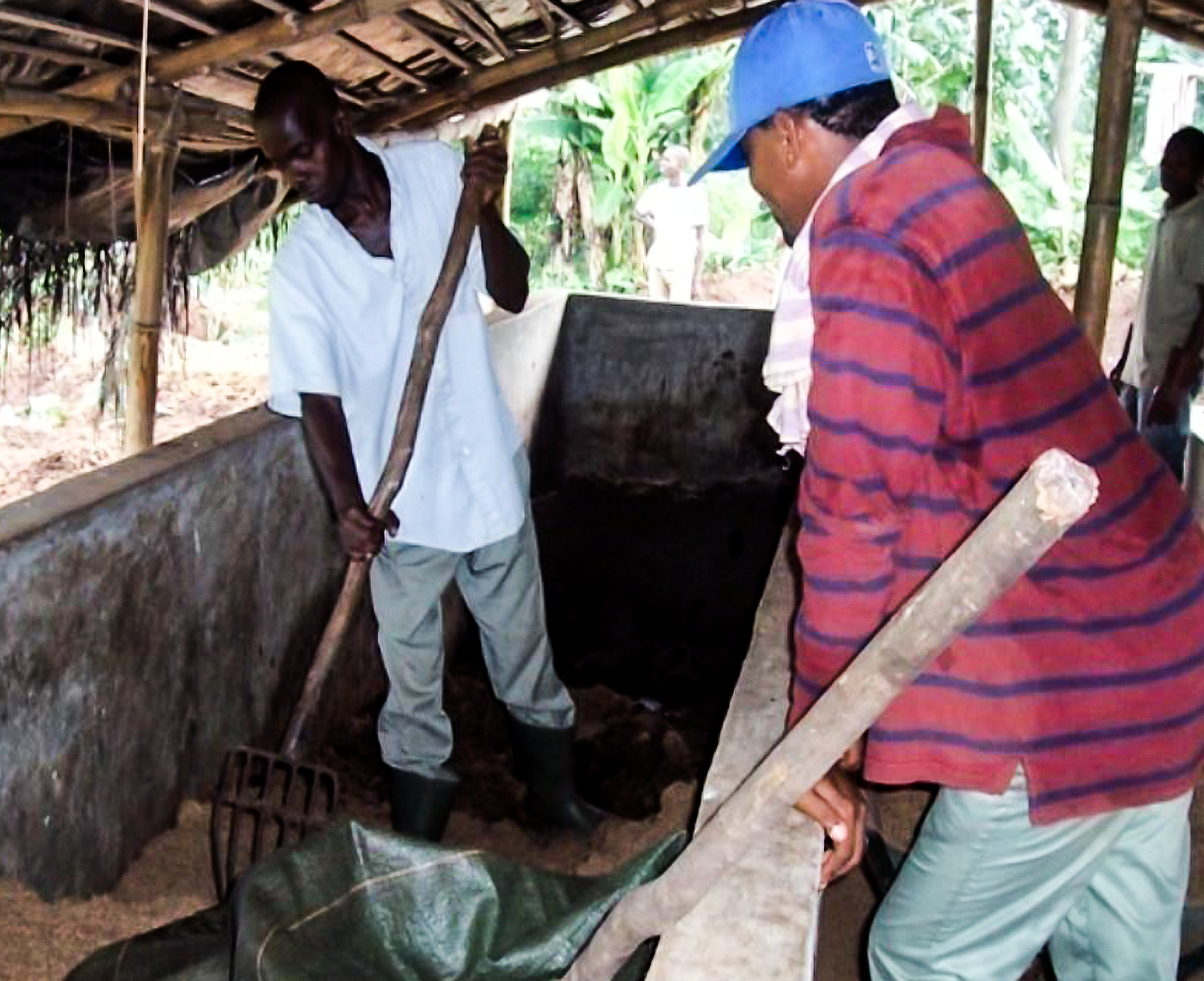 Mise en place de la litière