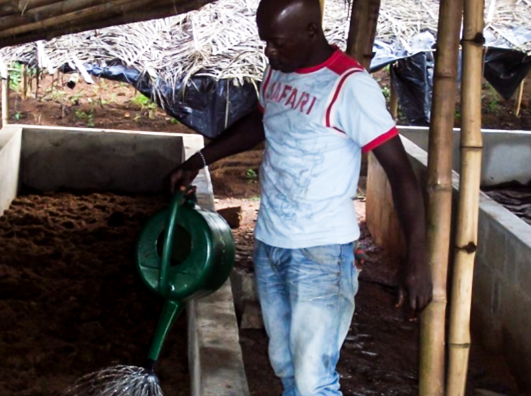 Produits du sol fertiles