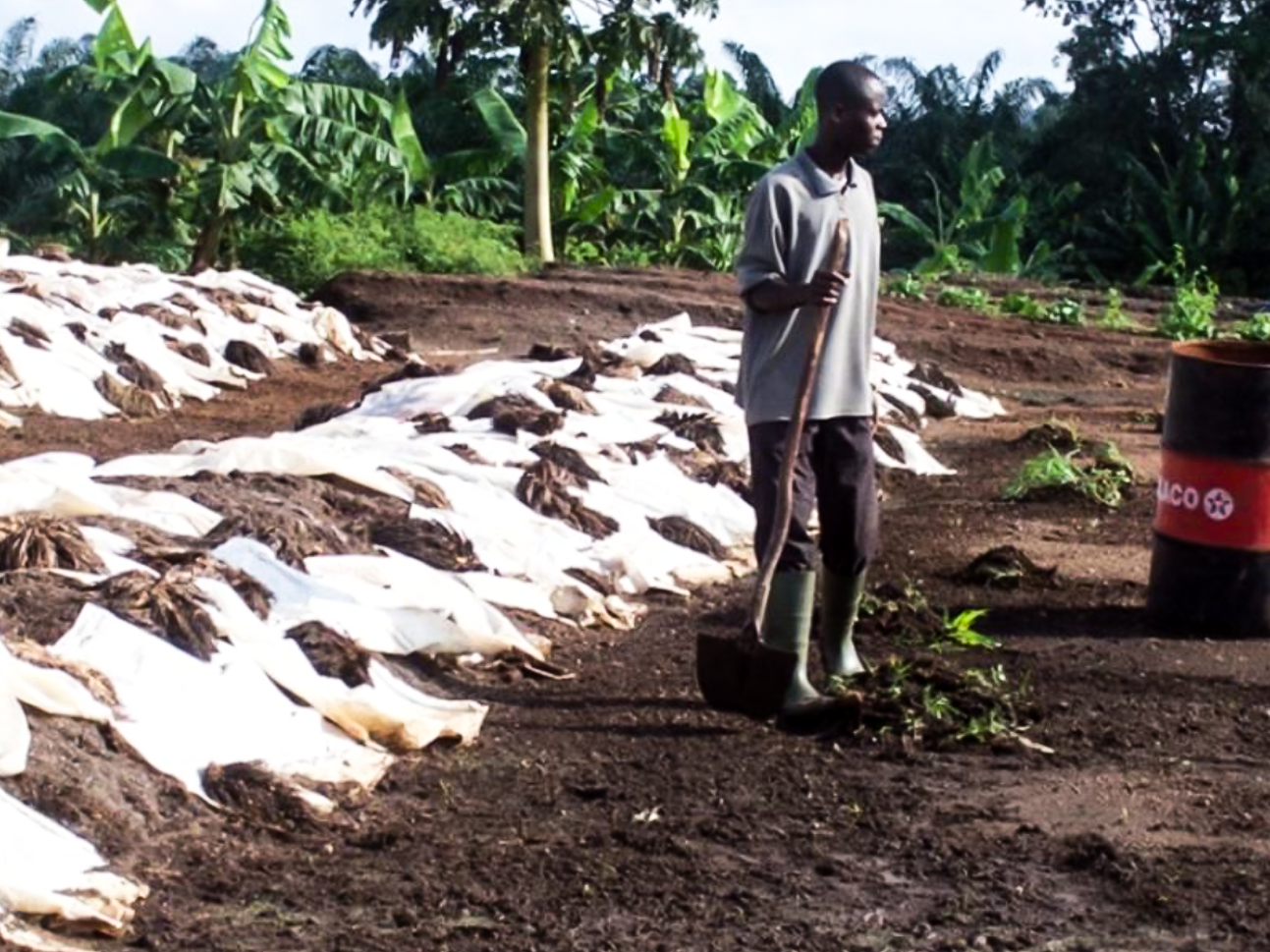 Transport d’eau pour l’arrosage