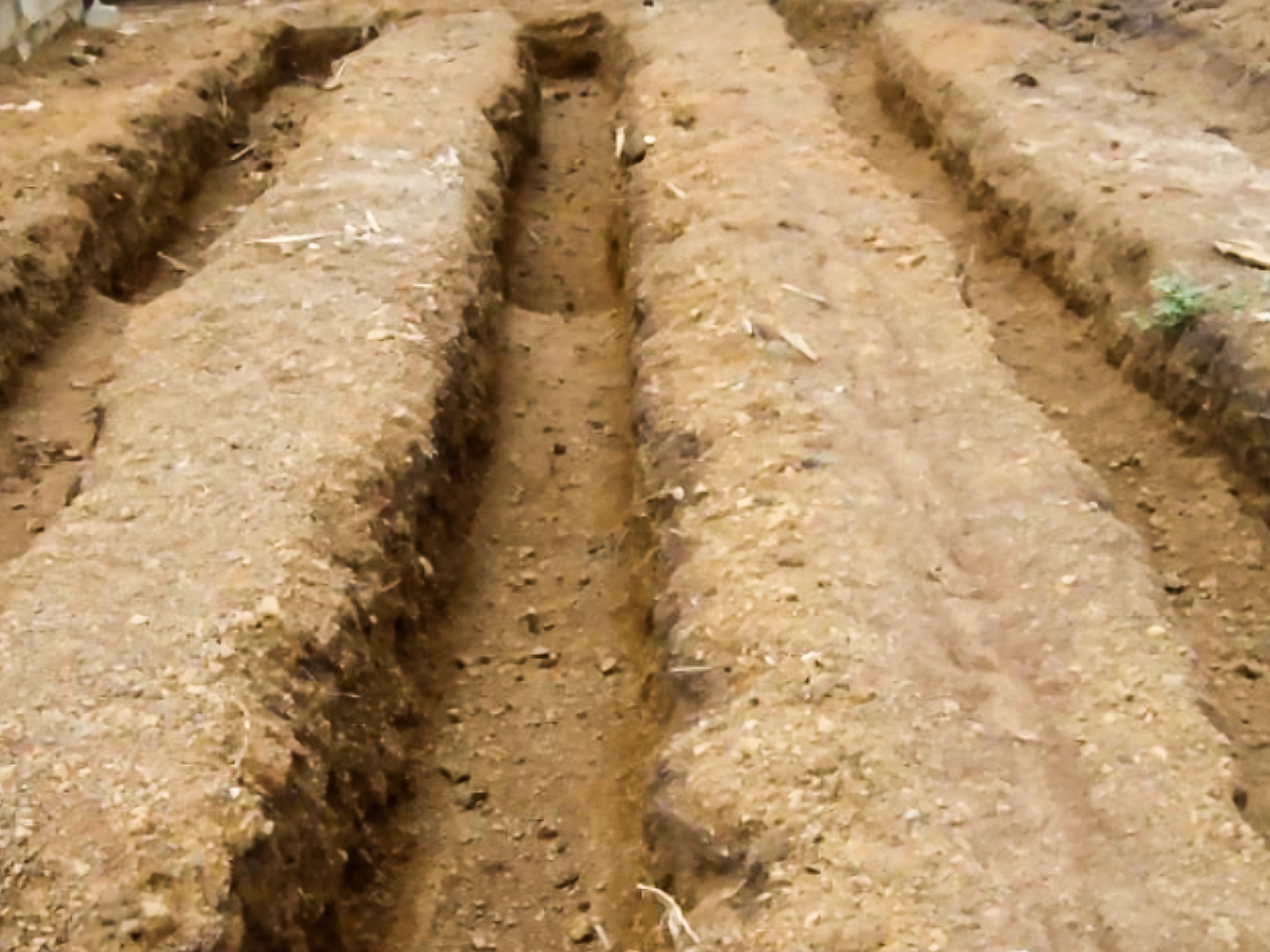 Lombriculture en action