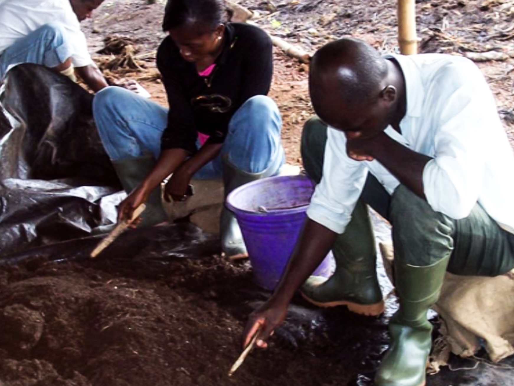 Lombriculture en action