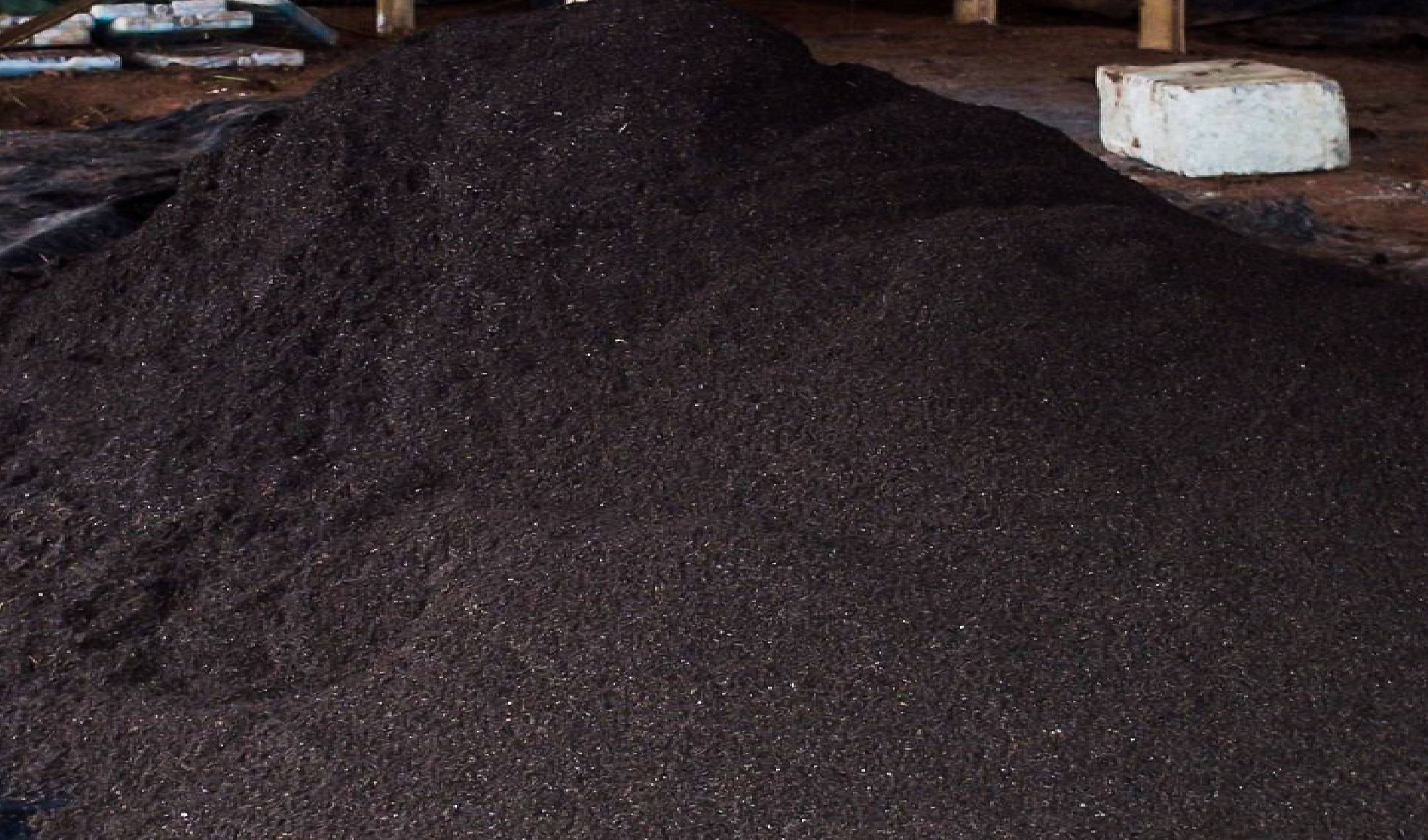 Lombricompost prêt à l’usage