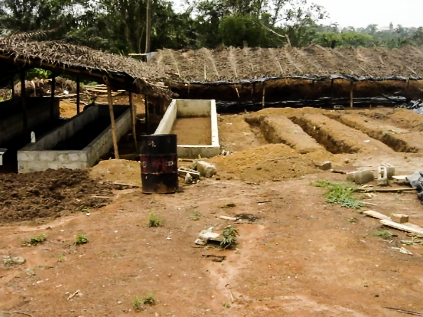 Compostage organique