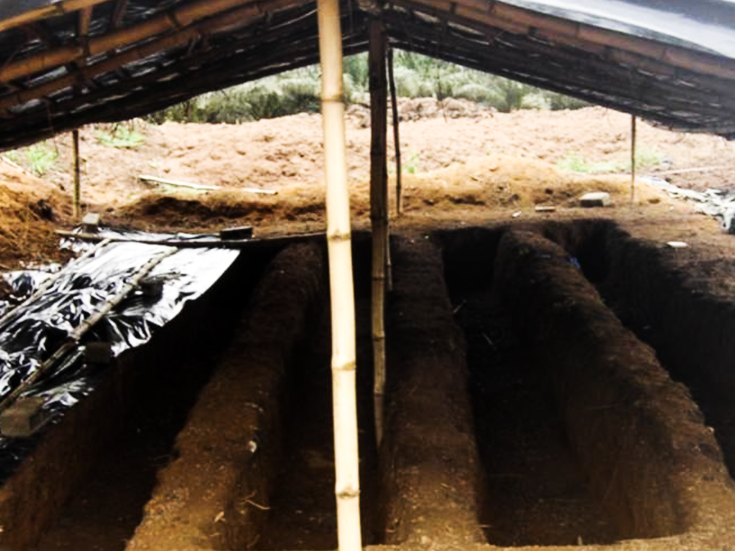 Produits du sol fertiles