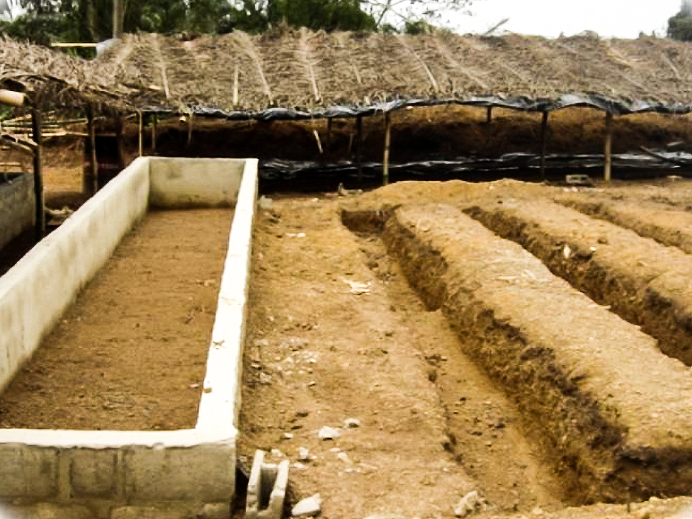 Vue d’ensemble des bassins et fosses