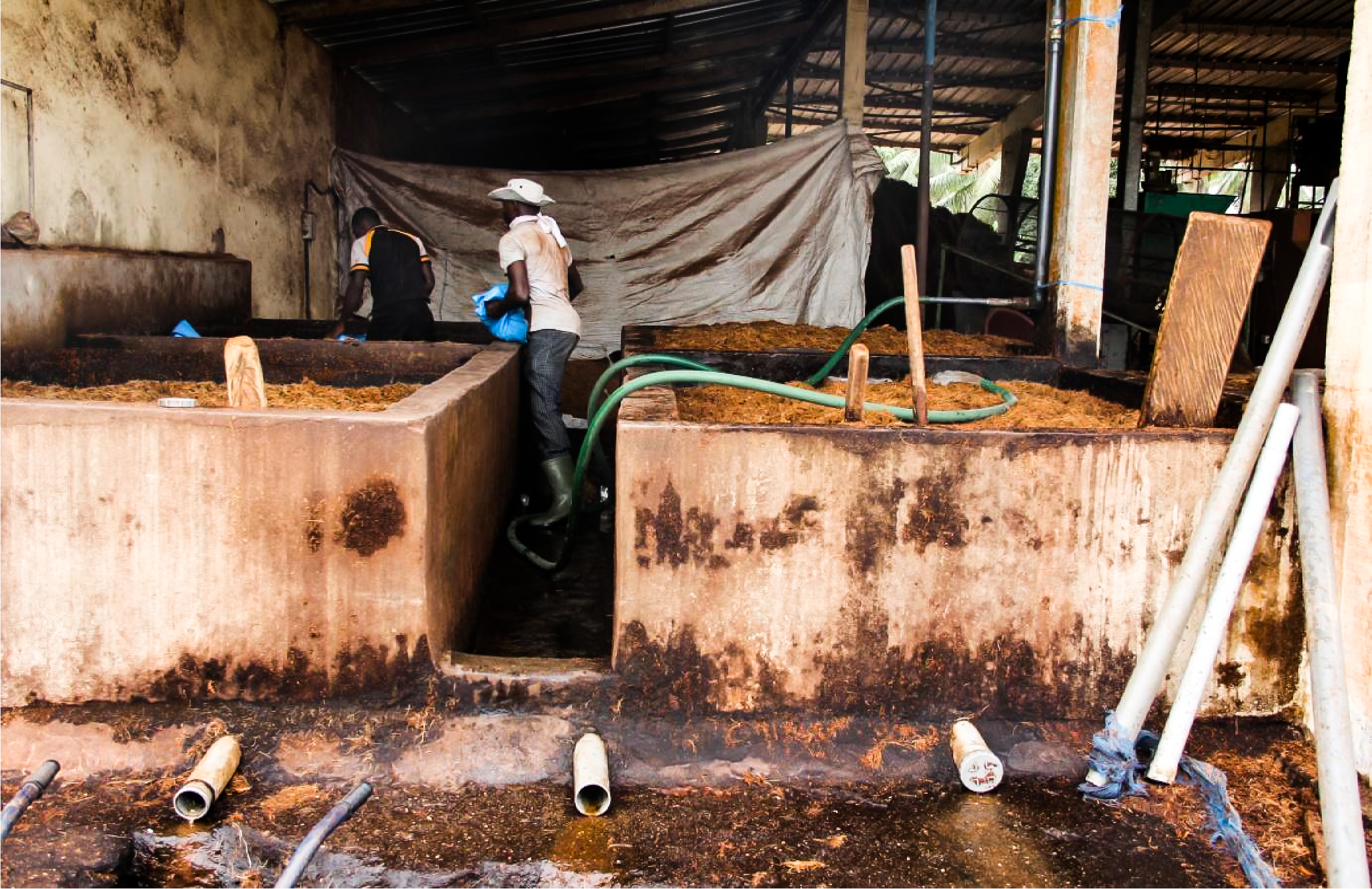 Litière de vers à l’arrivée